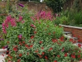 planting