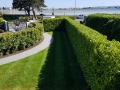 shore road 2